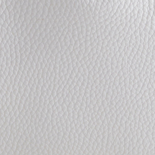 Fresh Coconut in Leather