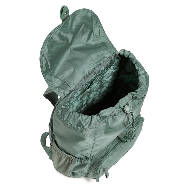 Campus Daytripper Backpack