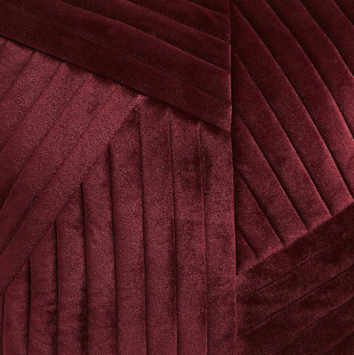 Raisin in Velvet