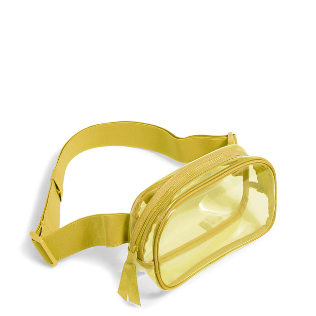Clear Small Belt Bag