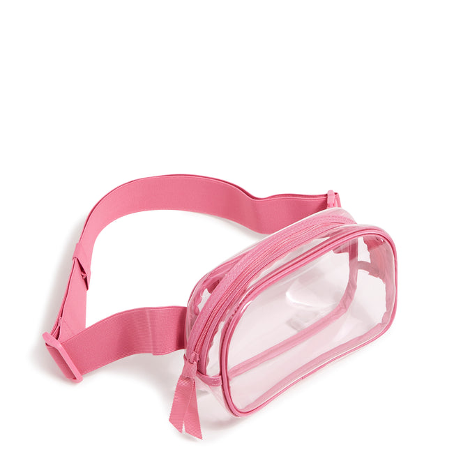 Clear Small Belt Bag