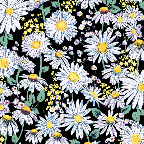 Daisies White