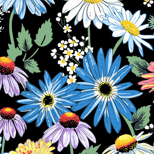 Daisies