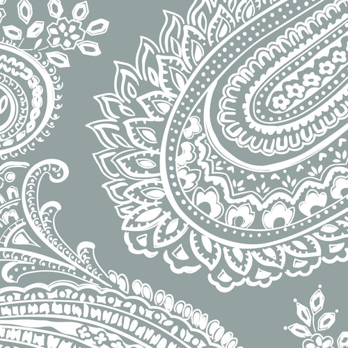 Cloud Gray Paisley