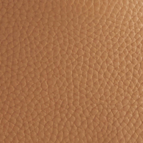 Camel in Leather