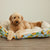Pet Bed, 2X - 3X