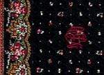 PetitPoint Image